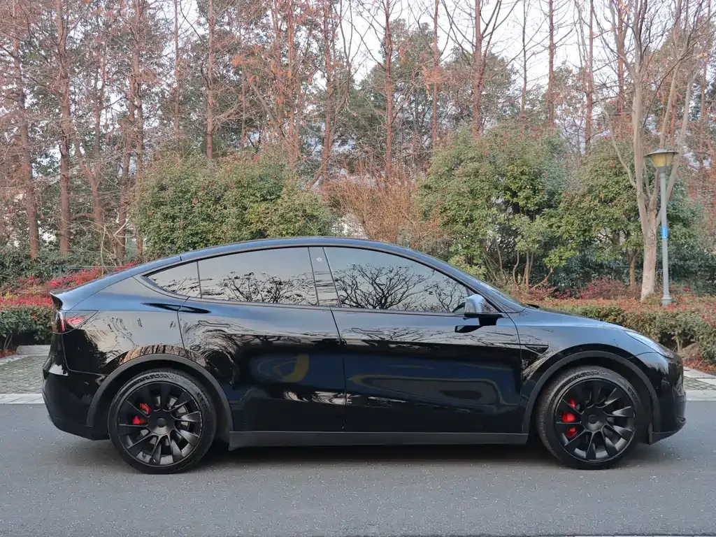 Tesla Model Y — фото 9