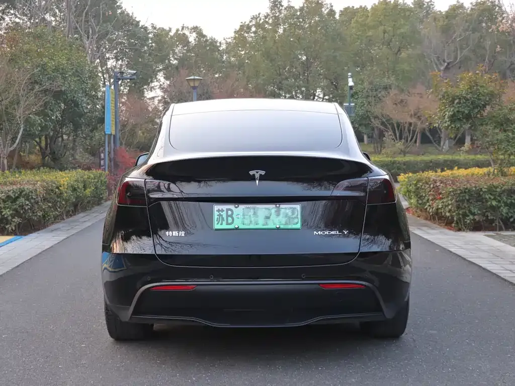 Tesla Model Y — фото 4
