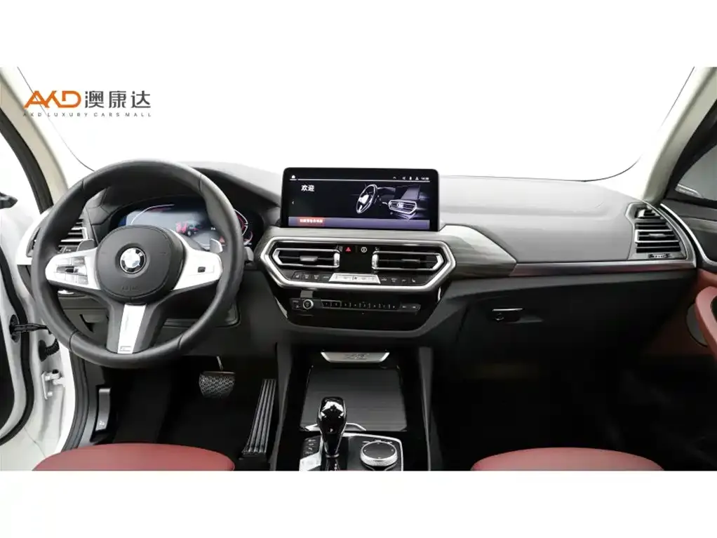 BMW X3 2025 из CN, фото 4