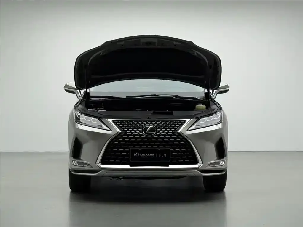 Lexus RX 2021 из CN, фото 5