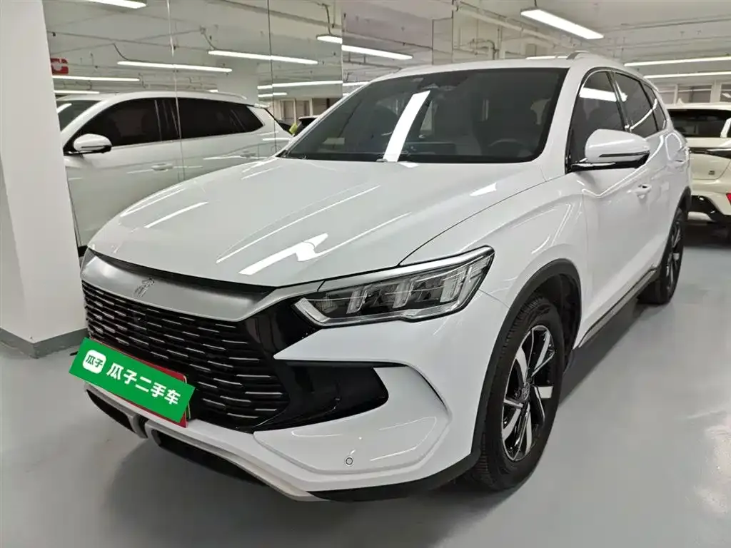 BYD Pro New Energy 2023 из CN, фото 1