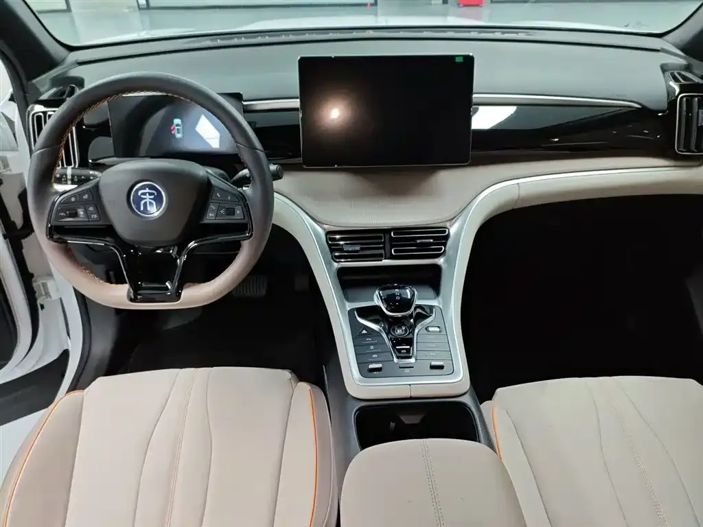 BYD Pro New Energy 2023 из CN, фото 6