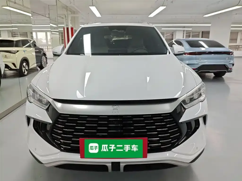 BYD Pro New Energy 2023 из CN, фото 7