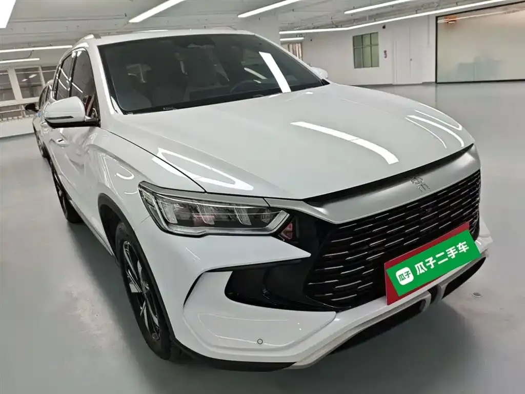 BYD Pro New Energy 2023 из CN, фото 3