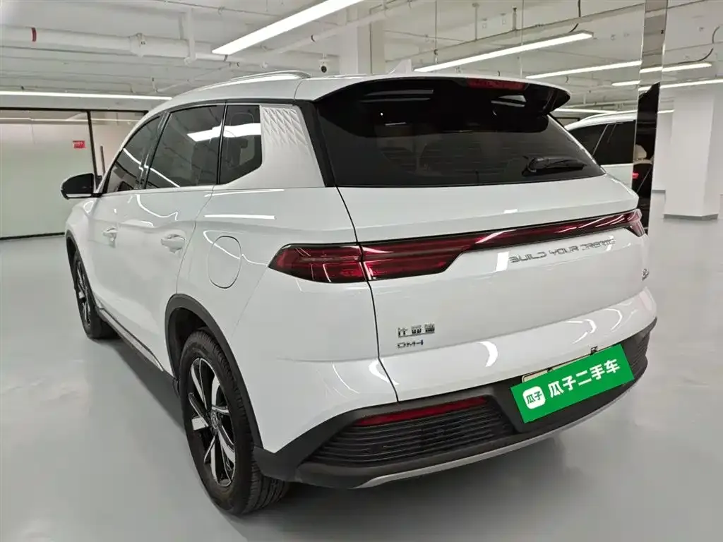BYD Pro New Energy 2023 из CN, фото 10