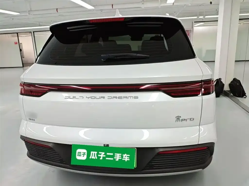 BYD Pro New Energy 2023 из CN, фото 9