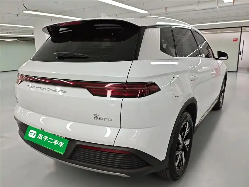 BYD Pro New Energy 2023 из CN, фото 4