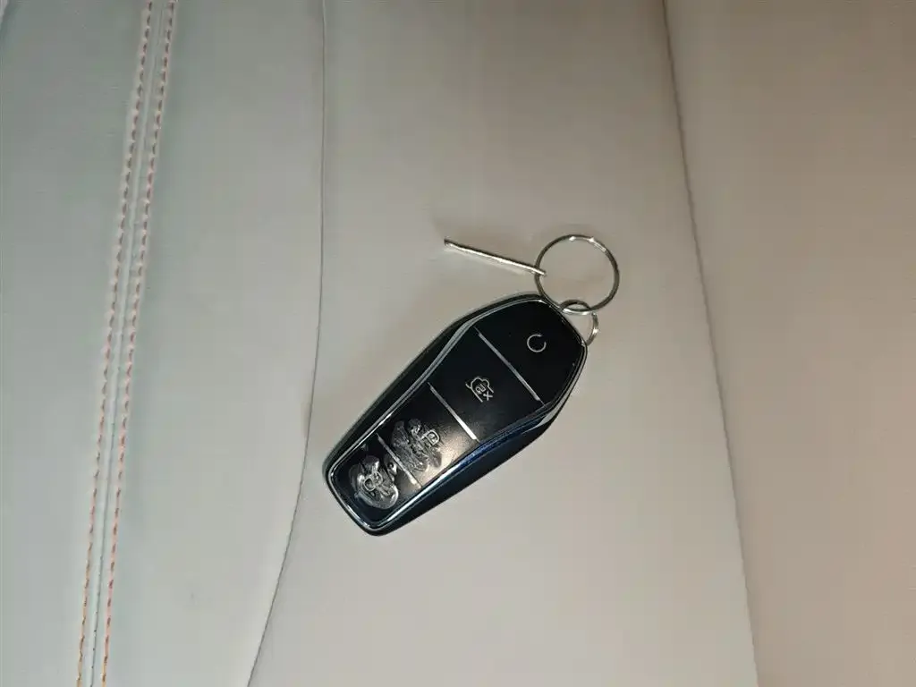 BYD Pro New Energy 2023 из CN, фото 2