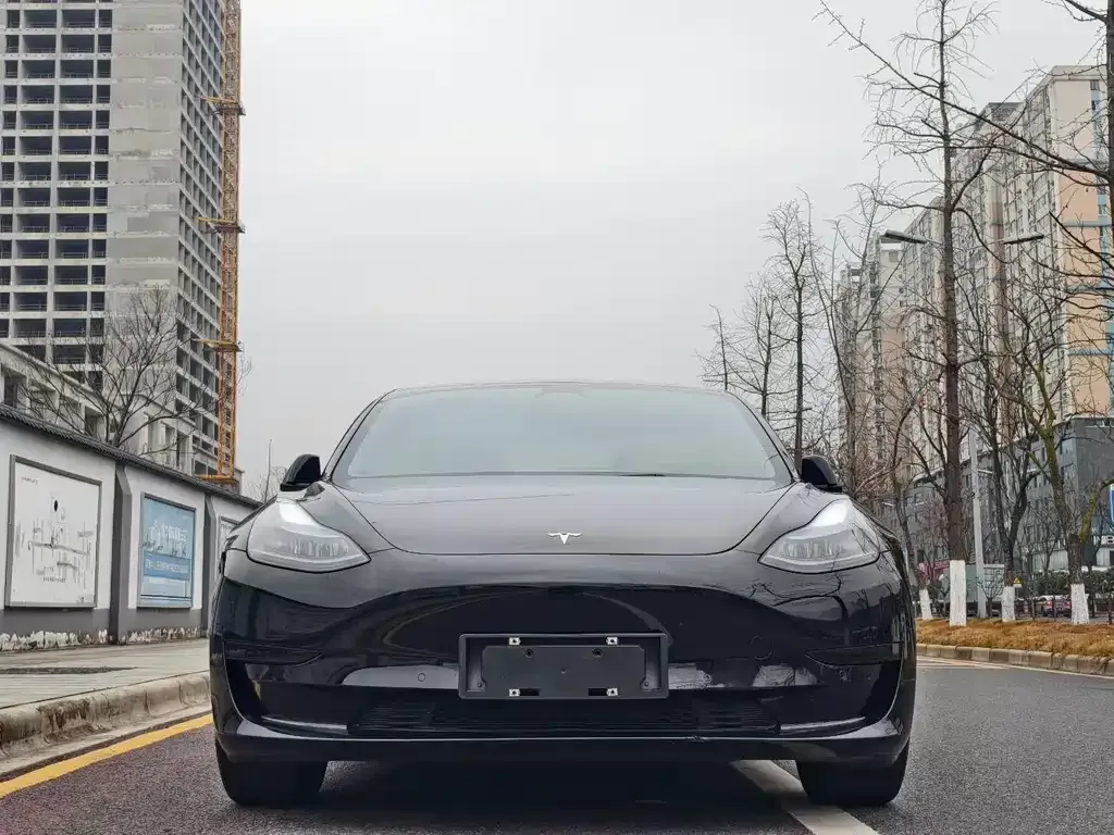 Tesla Model 3 2022 из CN, фото 5