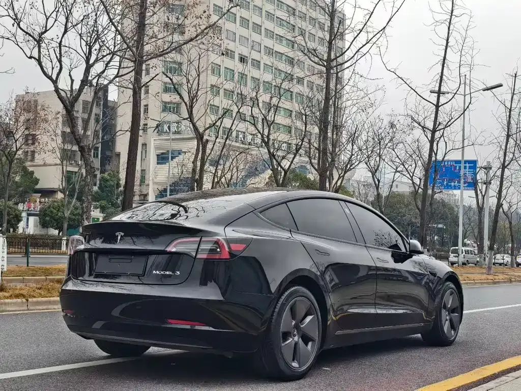 Tesla Model 3 2022 из CN, фото 9