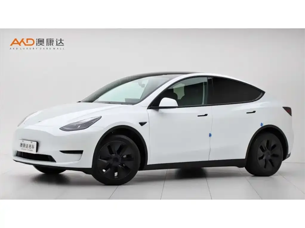 Tesla Model Y 2025 из CN, фото 1