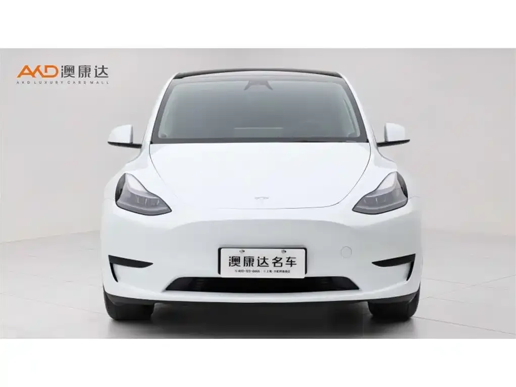 Tesla Model Y 2025 из CN, фото 3