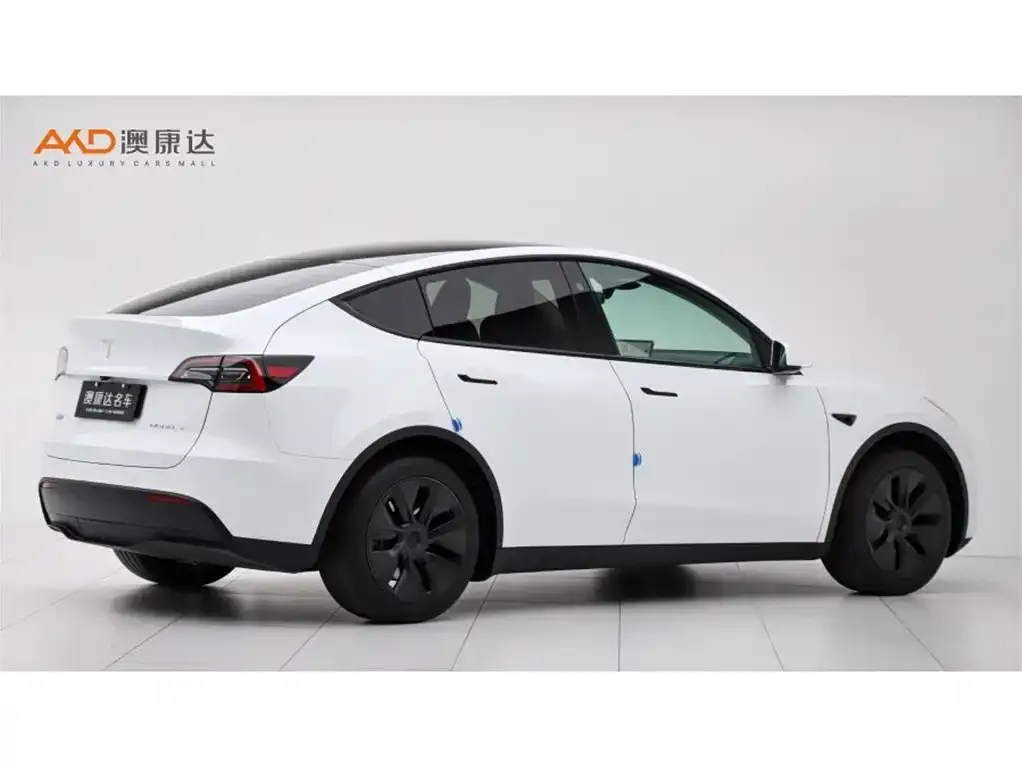Tesla Model Y 2025 из CN, фото 2