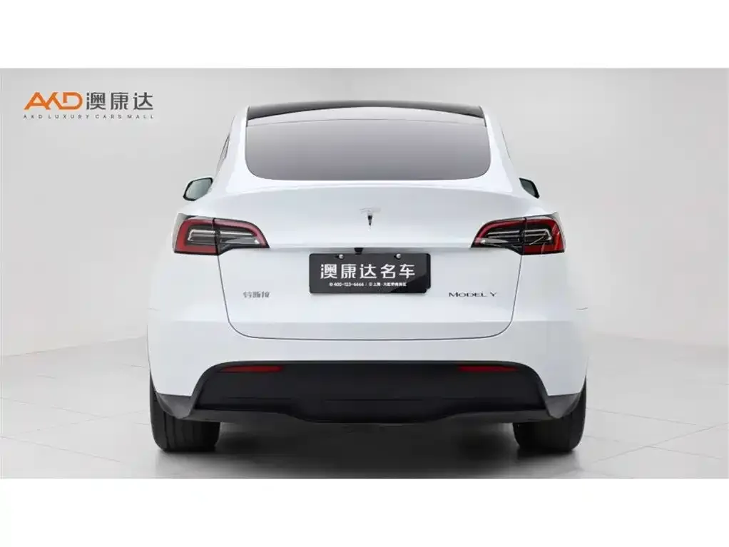 Tesla Model Y 2025 из CN, фото 6