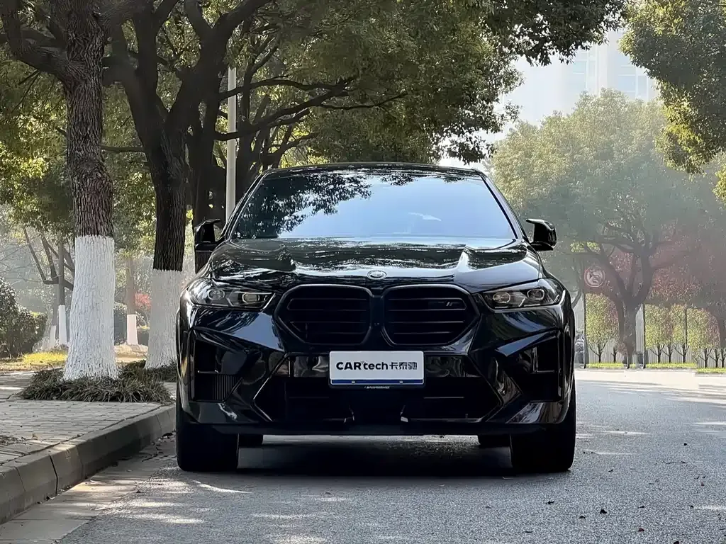 BMW X6 M 2023 из CN, фото 8