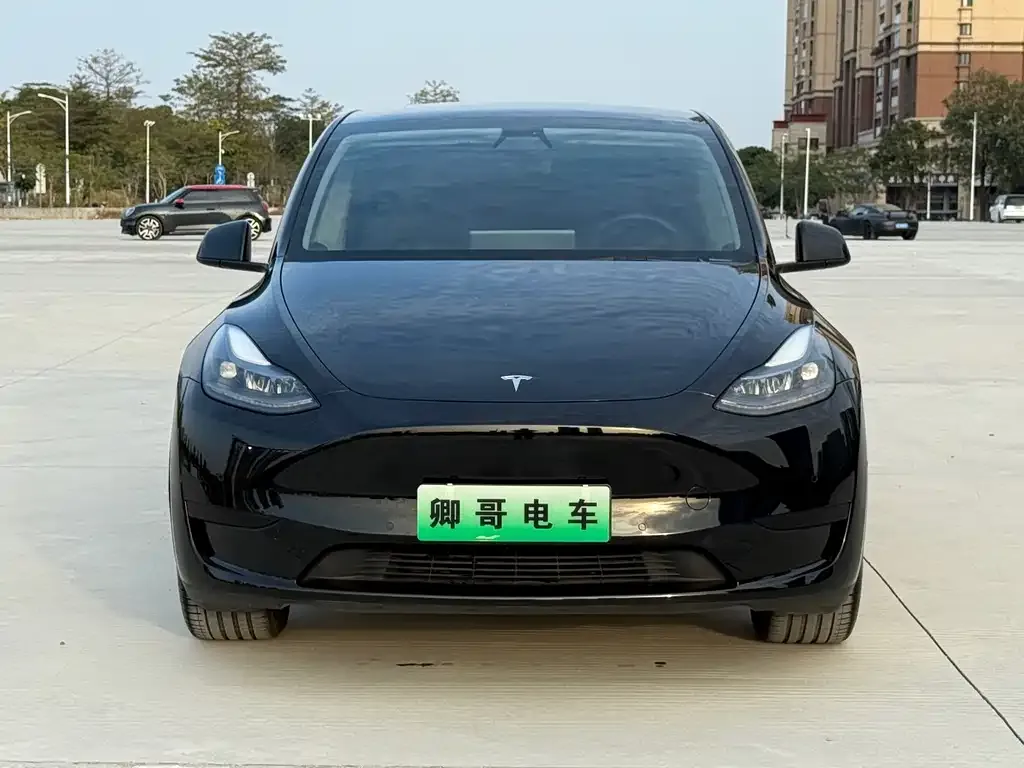 Tesla Model Y 2022 из CN, фото 6
