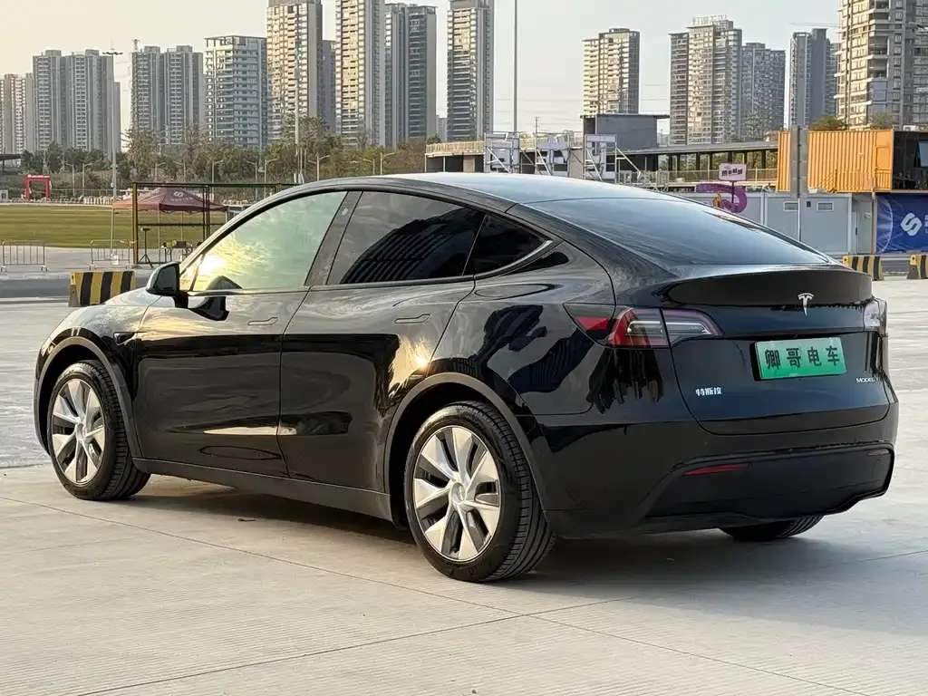 Tesla Model Y 2022 из CN, фото 9