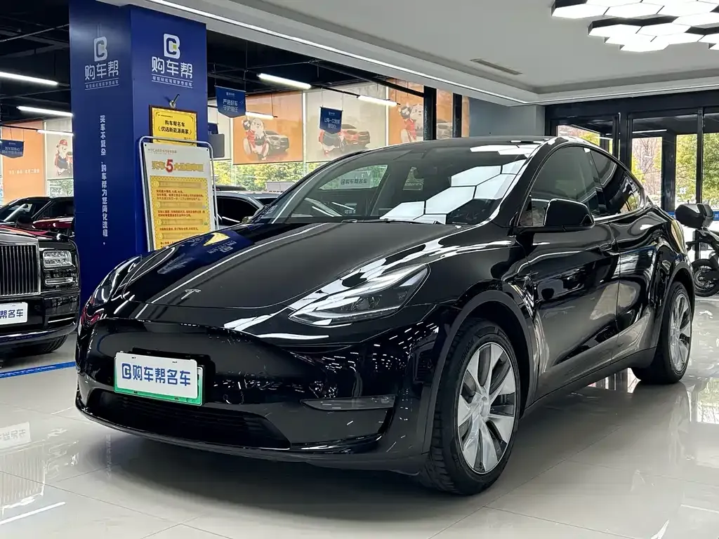 Tesla Model Y 2022 из CN, фото 1