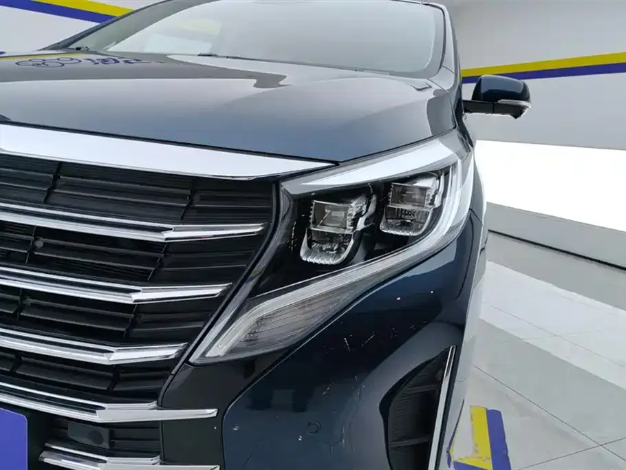 GAC Motor Trumpchi M8 2022 из CN, фото 9