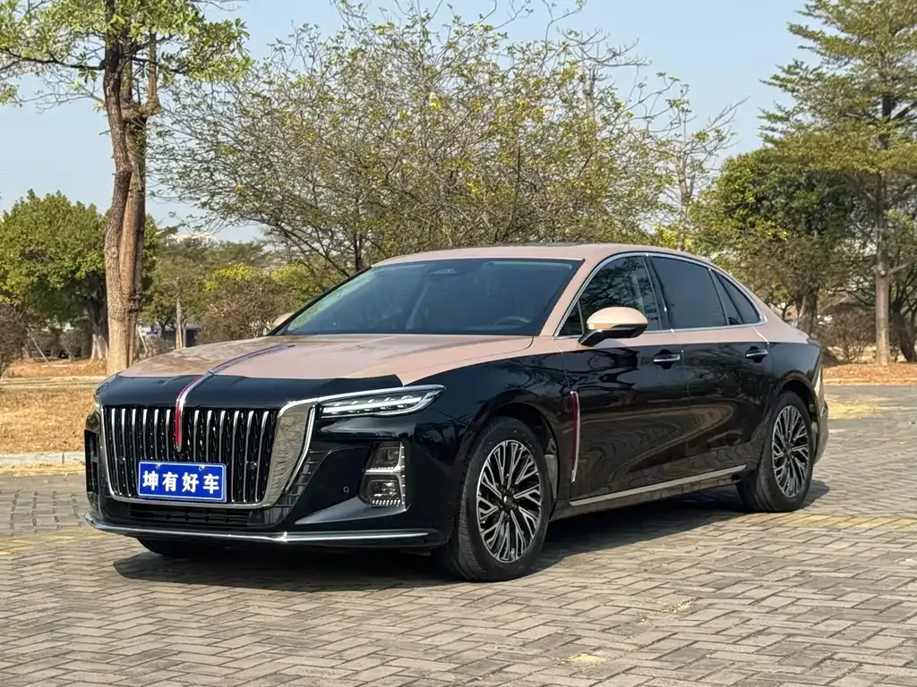 Hongqi H5 2023 из CN, фото 1