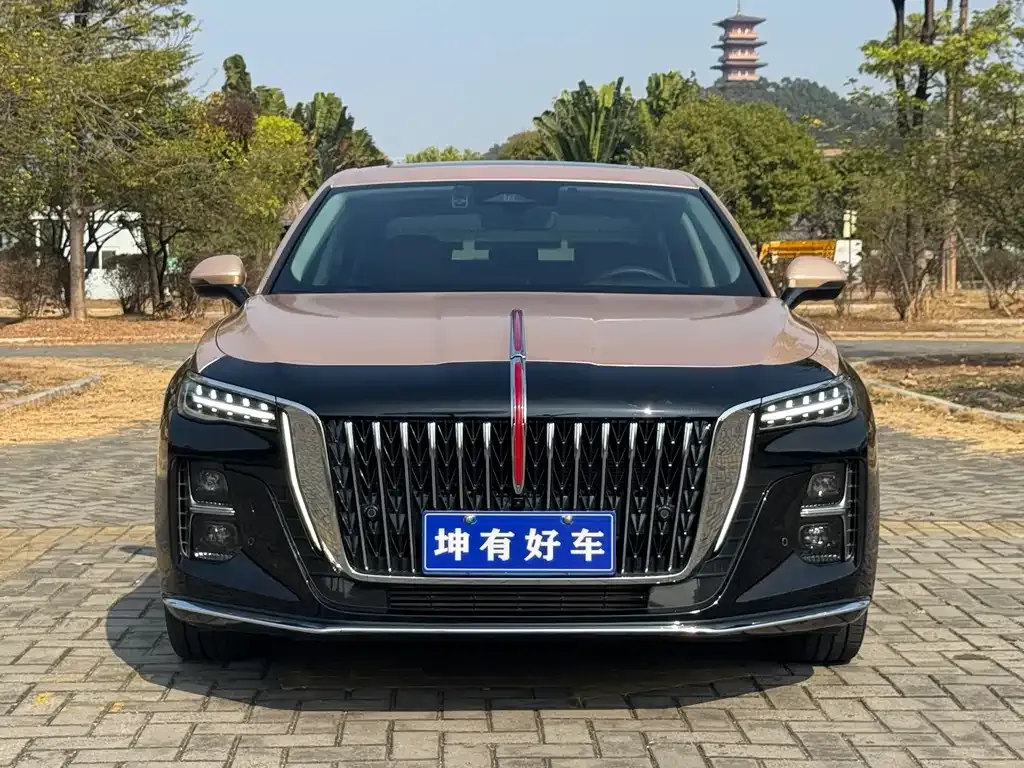Hongqi H5 2023 из CN, фото 6