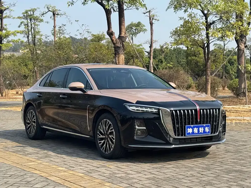 Hongqi H5 2023 из CN, фото 10