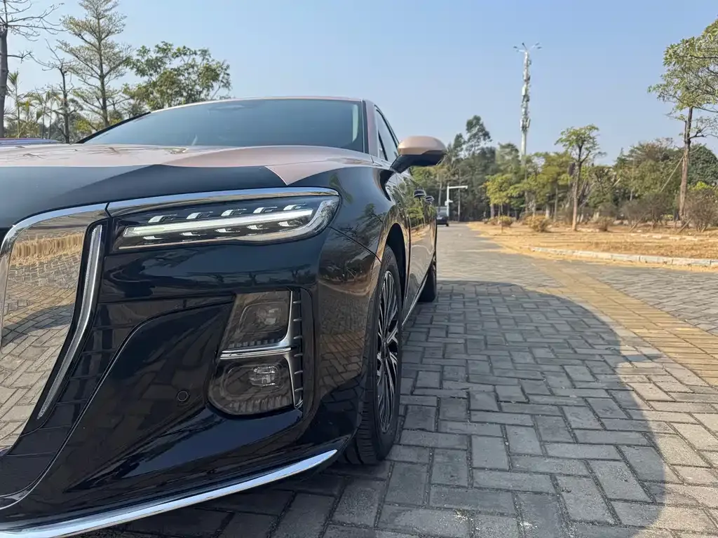Hongqi H5 2023 из CN, фото 9