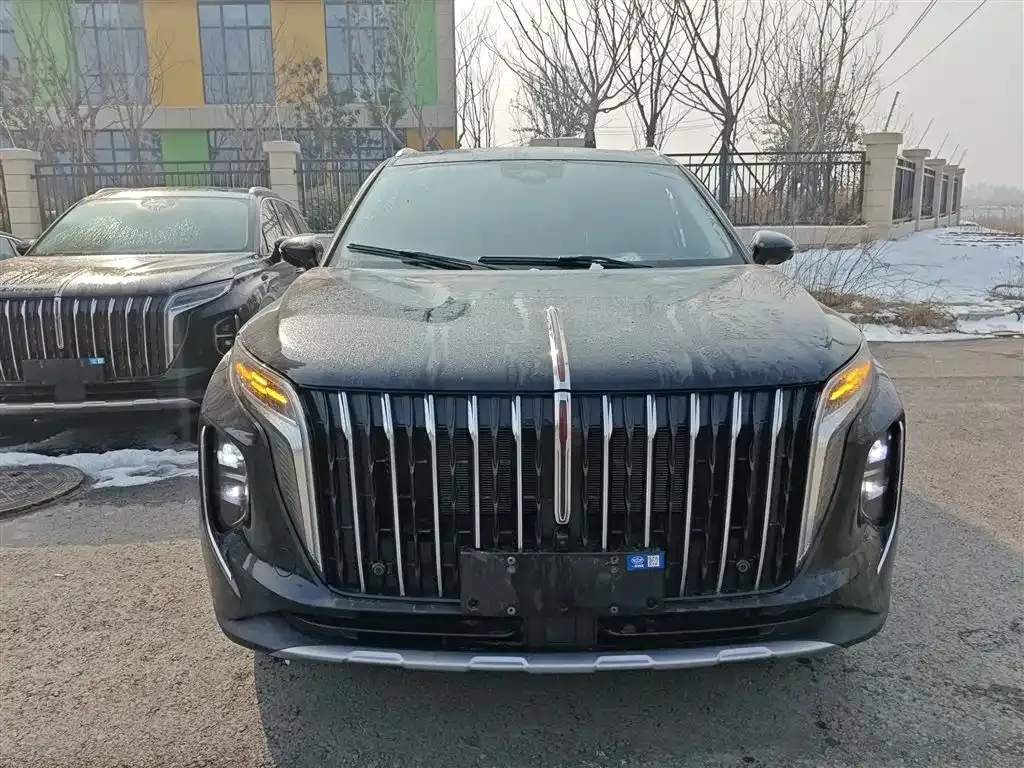 Hongqi HS7 PHEV 2024 из CN, фото 4