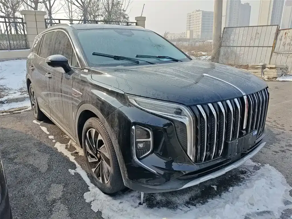 Hongqi HS7 PHEV 2024 из CN, фото 10