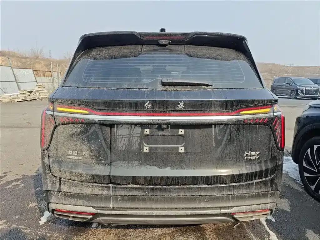 Hongqi HS7 PHEV 2024 из CN, фото 3