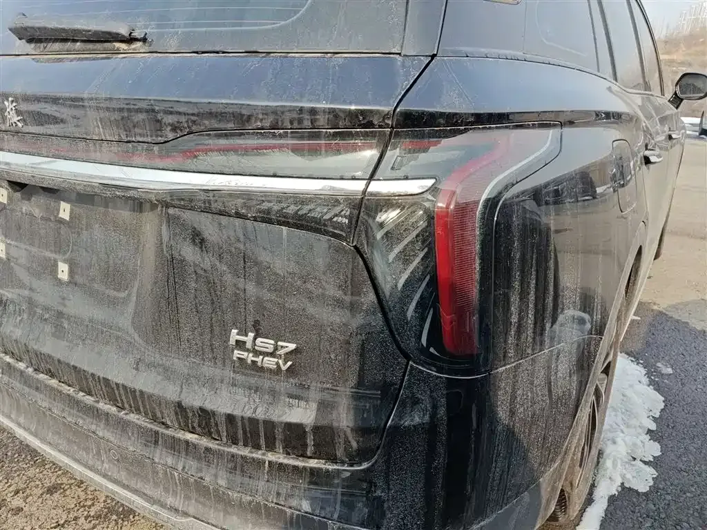 Hongqi HS7 PHEV 2024 из CN, фото 9