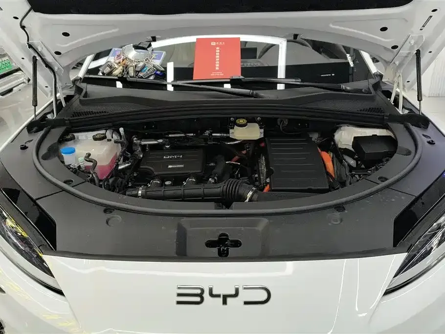 BYD PLUS New Energy — фото 6