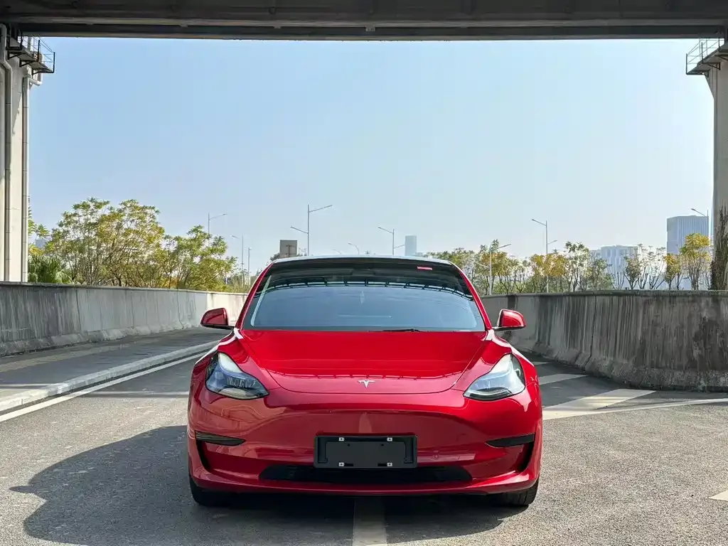 Tesla Model 3 2022 из CN, фото 6