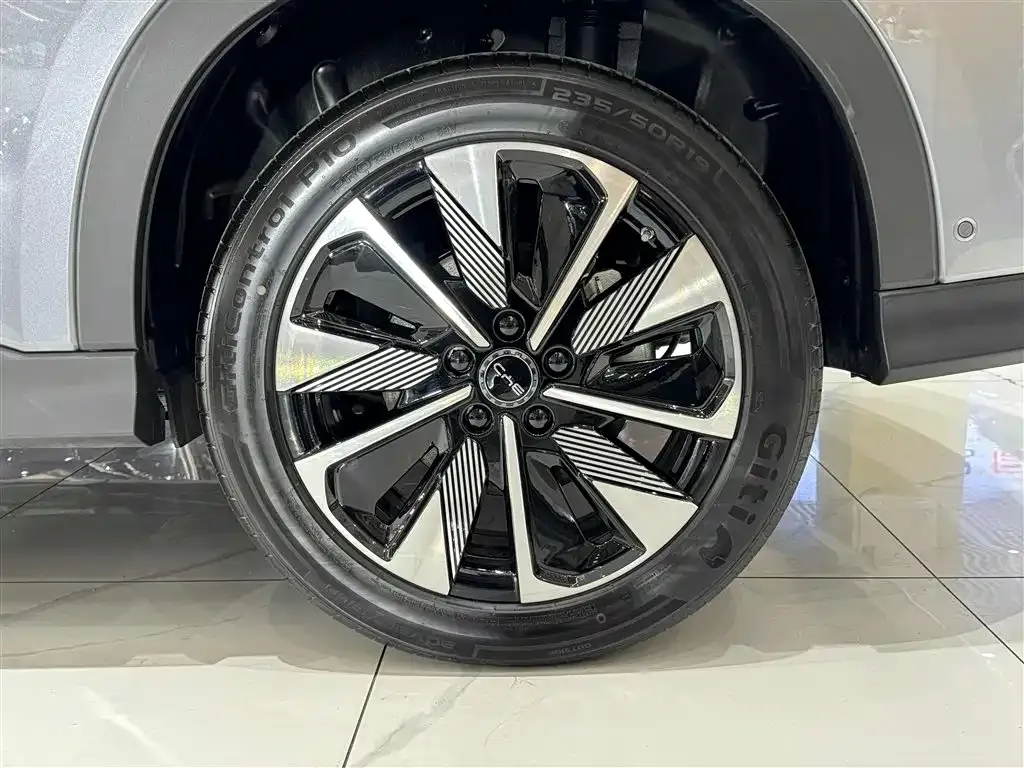 BYD PLUS New Energy 2025 из CN, фото 4