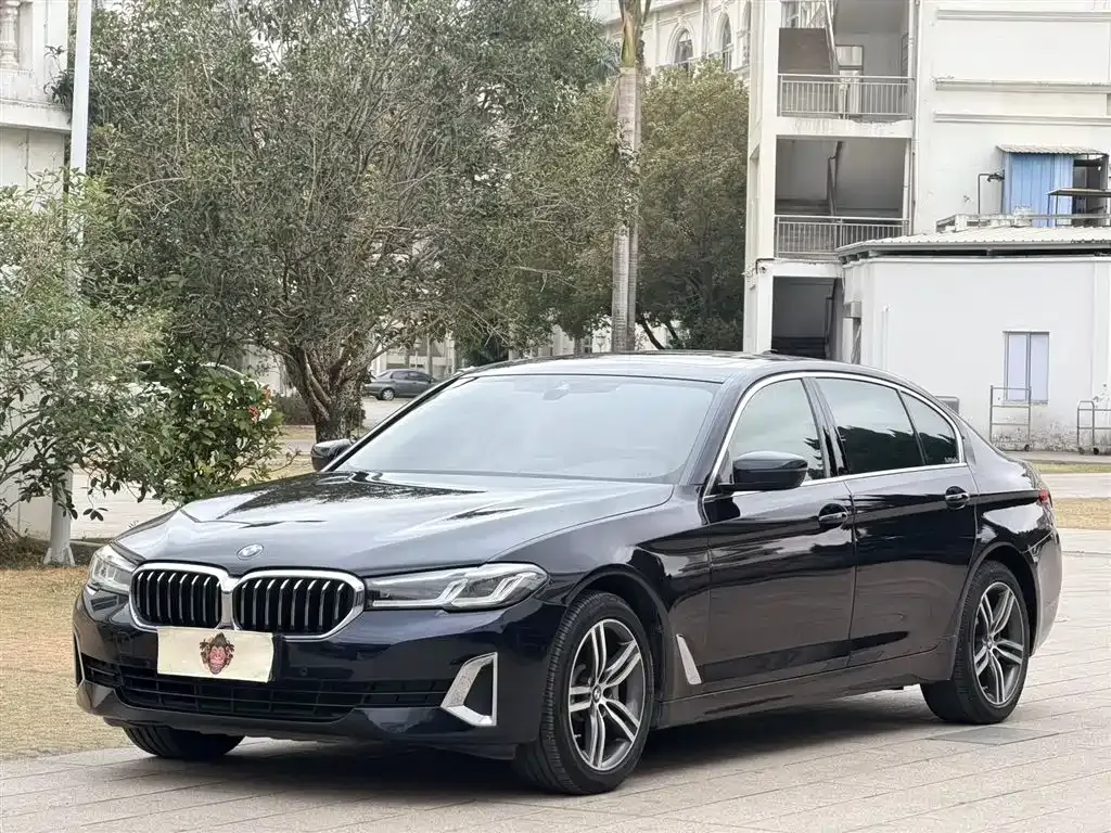 BMW 5 Series 2021 из CN, фото 1