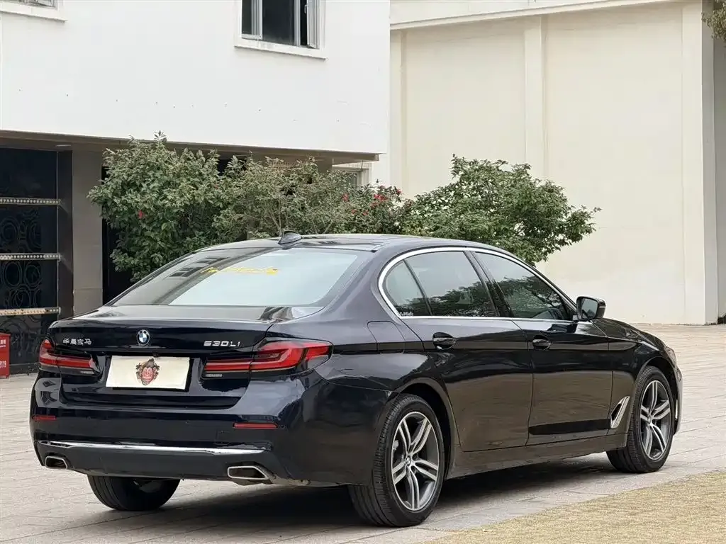 BMW 5 Series 2021 из CN, фото 8
