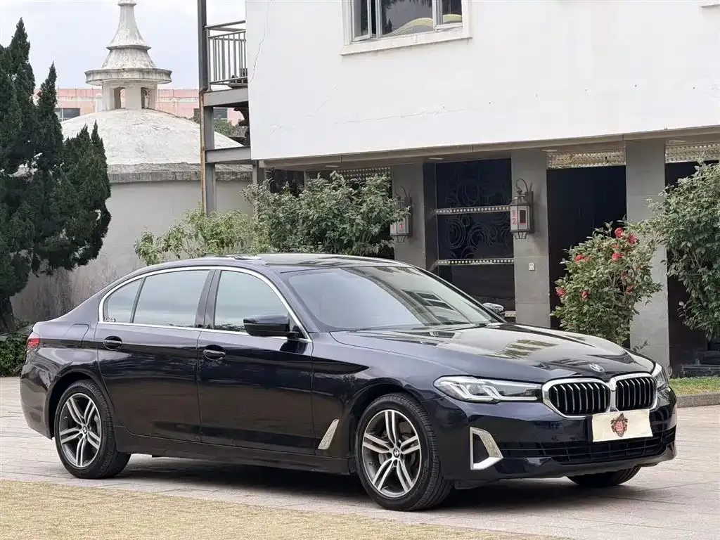 BMW 5 Series 2021 из CN, фото 9