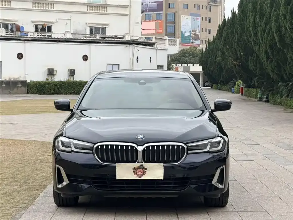 BMW 5 Series 2021 из CN, фото 2