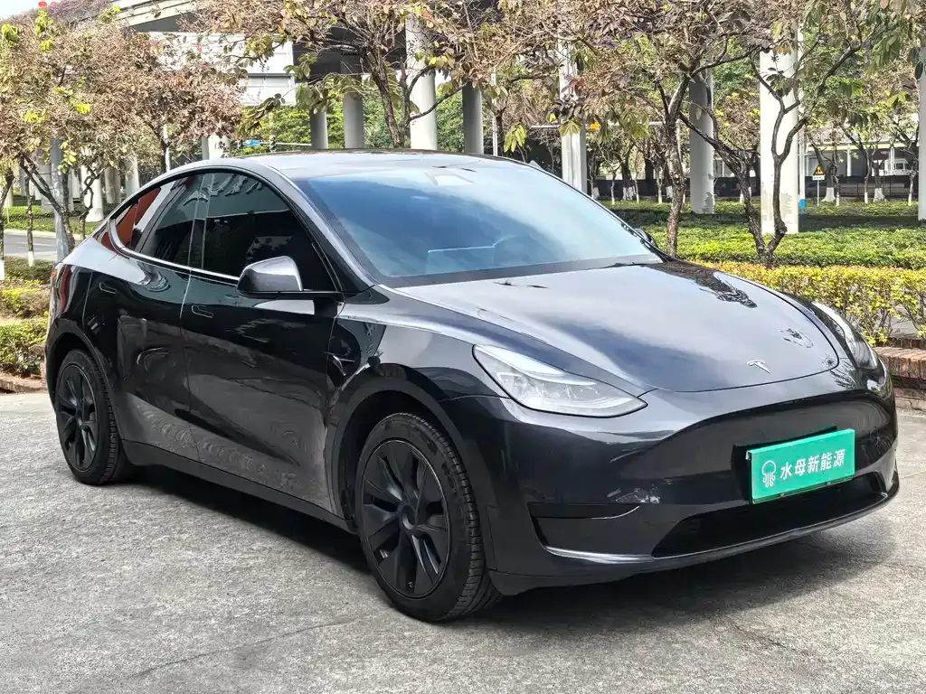 Tesla Model Y 2024 из CN, фото 9