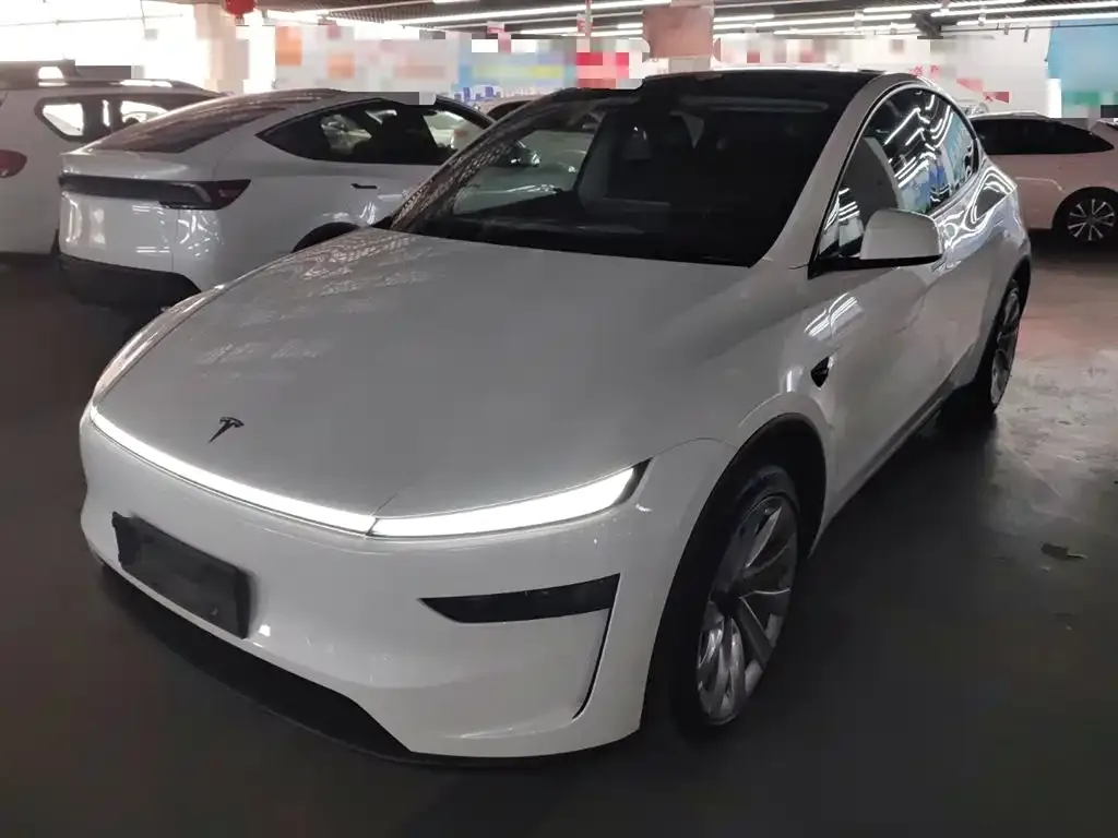 Tesla Model Y 2025 из CN, фото 1