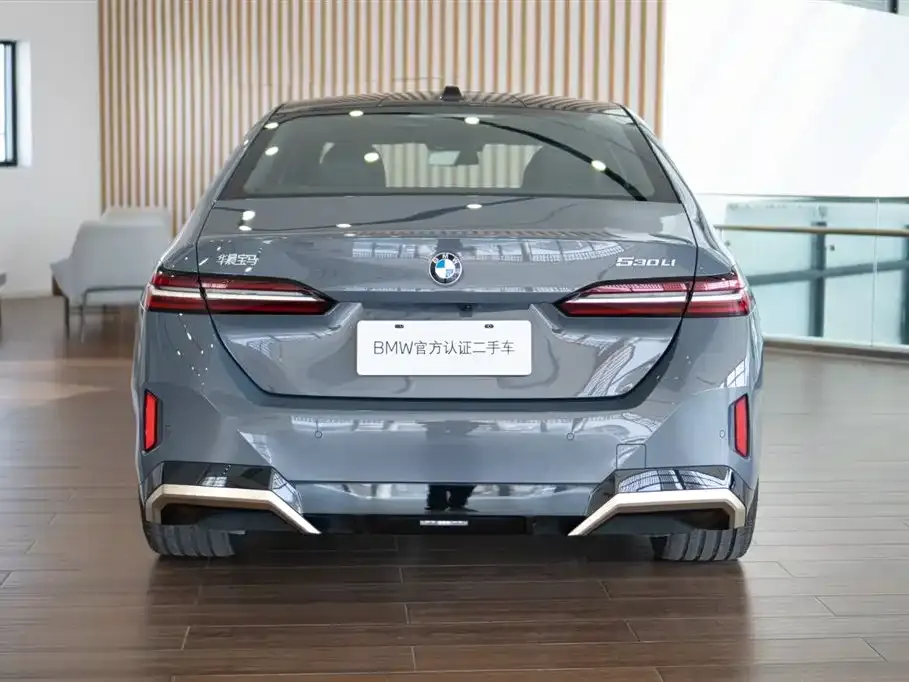 BMW 5 Series 2025 из CN, фото 9