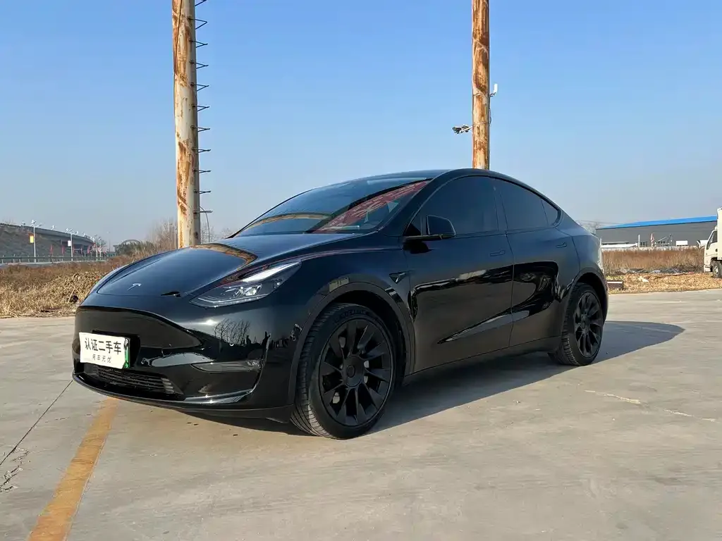 Tesla Model Y 2022 из CN, фото 1