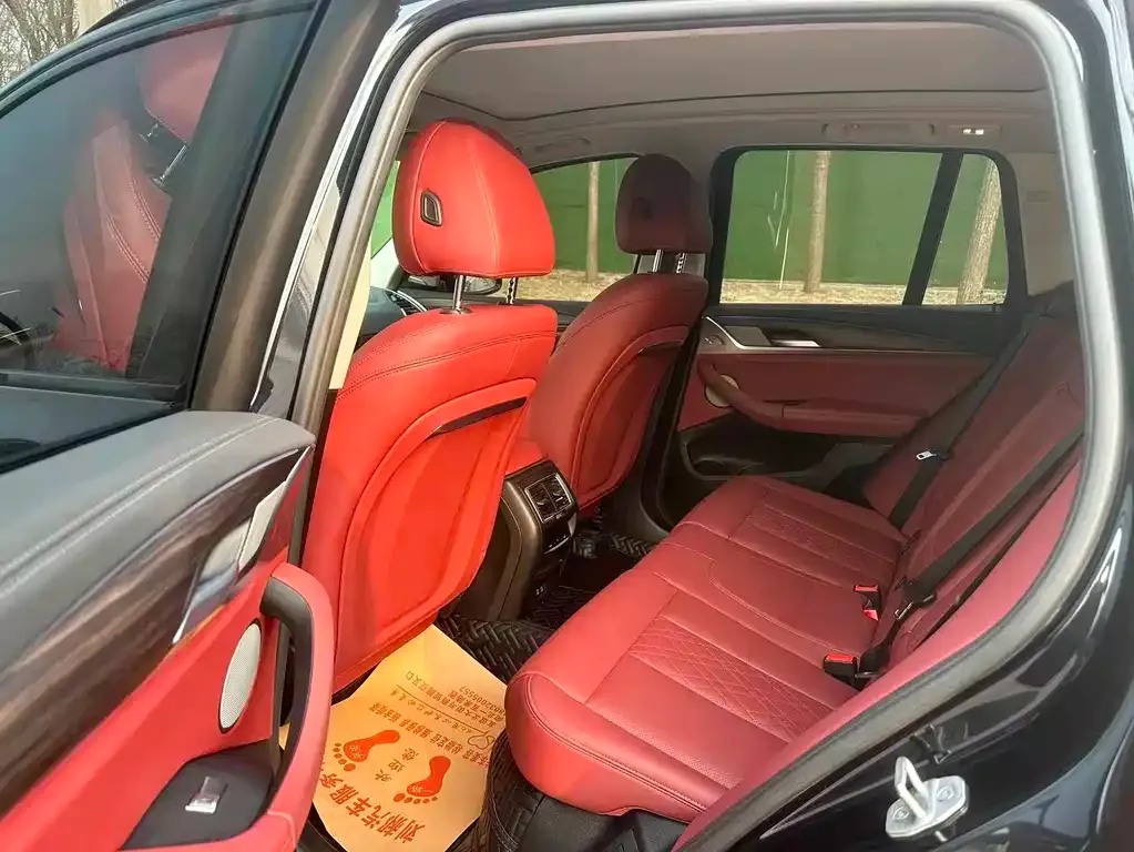 BMW X3 2024 из CN, фото 6