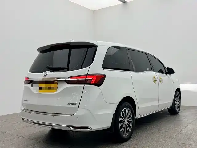 Buick GL8 2023 из CN, фото 6