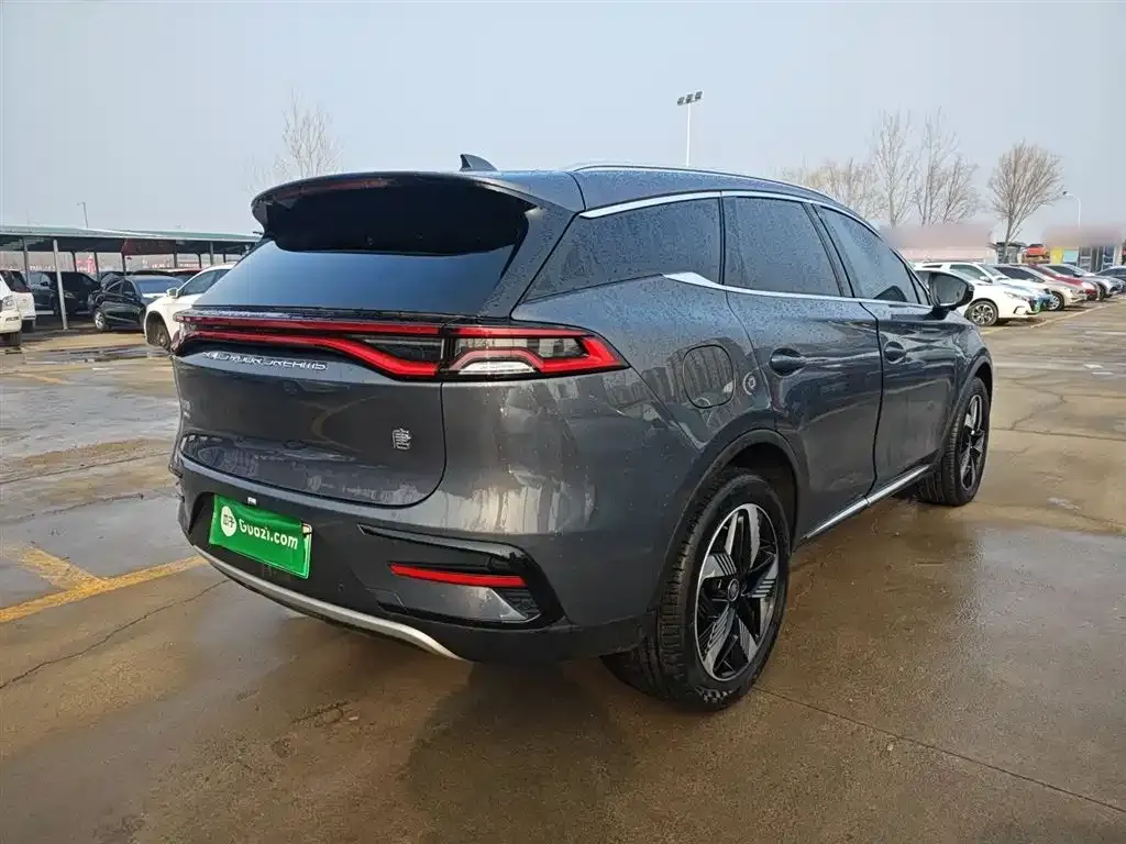 BYD Tang New Energy — фото 10