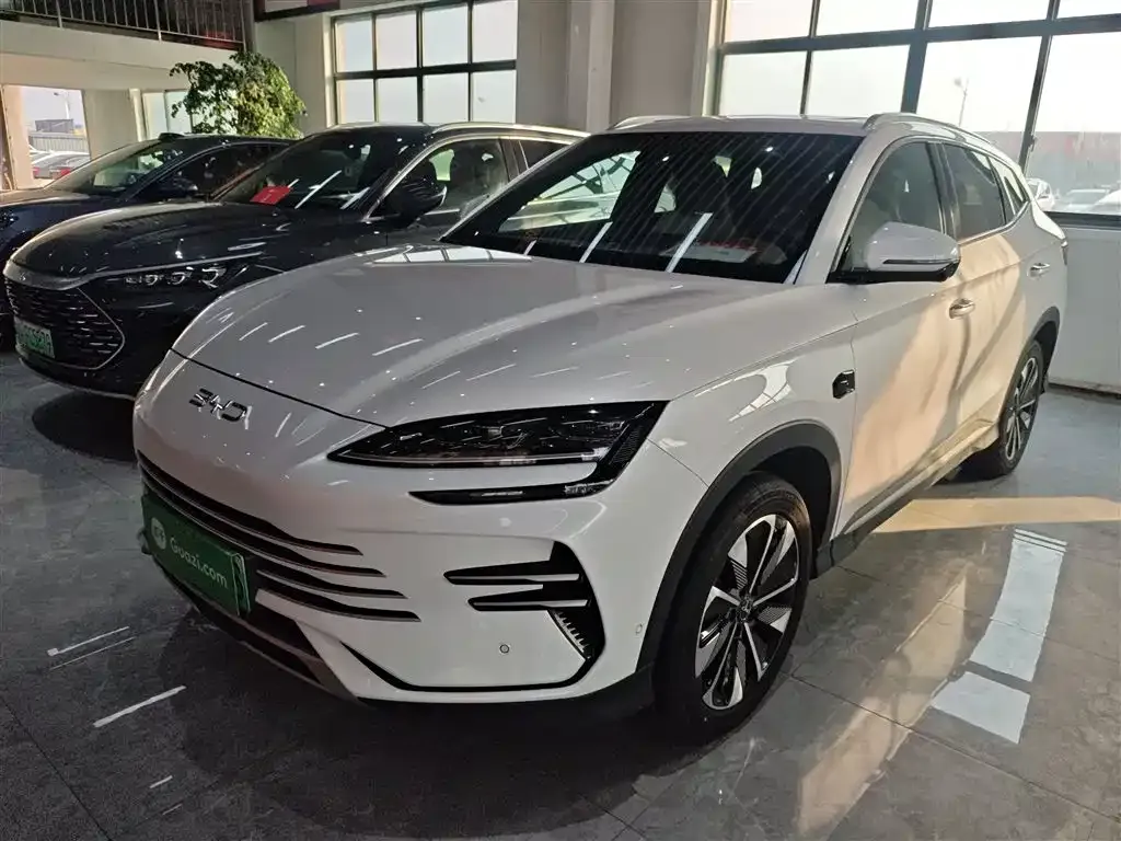 BYD PLUS New Energy — фото 8