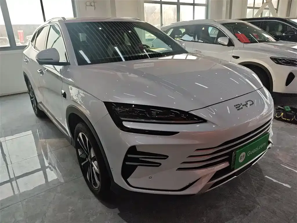 BYD PLUS New Energy — фото 3