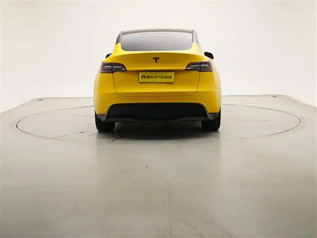 Tesla Model Y 2022 из CN, фото 4