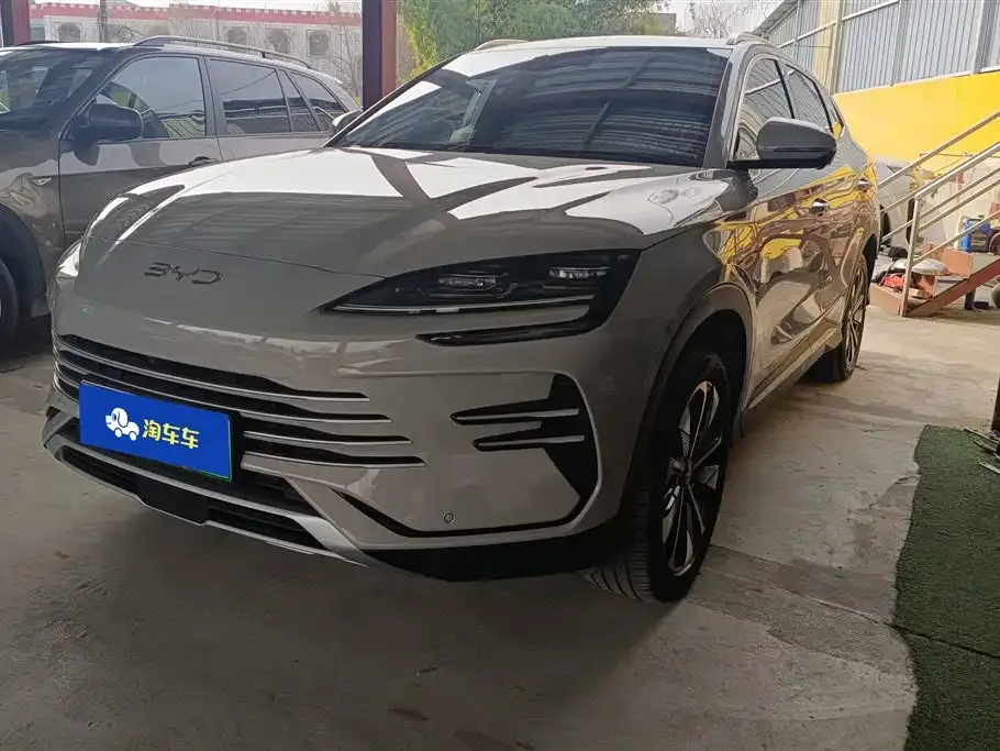 BYD PLUS New Energy 2025 из CN, фото 1
