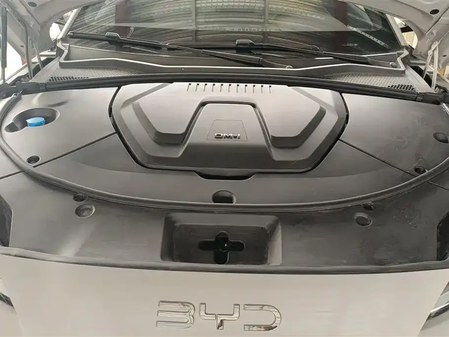 BYD PLUS New Energy 2025 из CN, фото 6